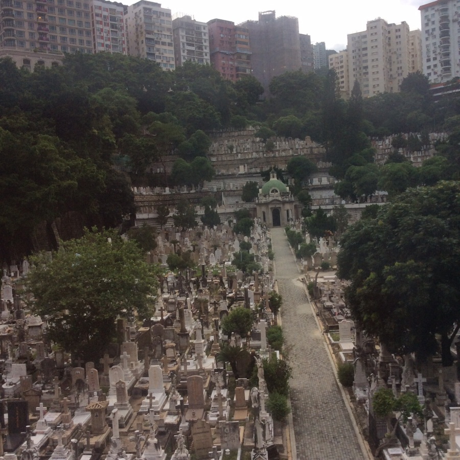 港澳别味风情不值得一去,且值得一看。