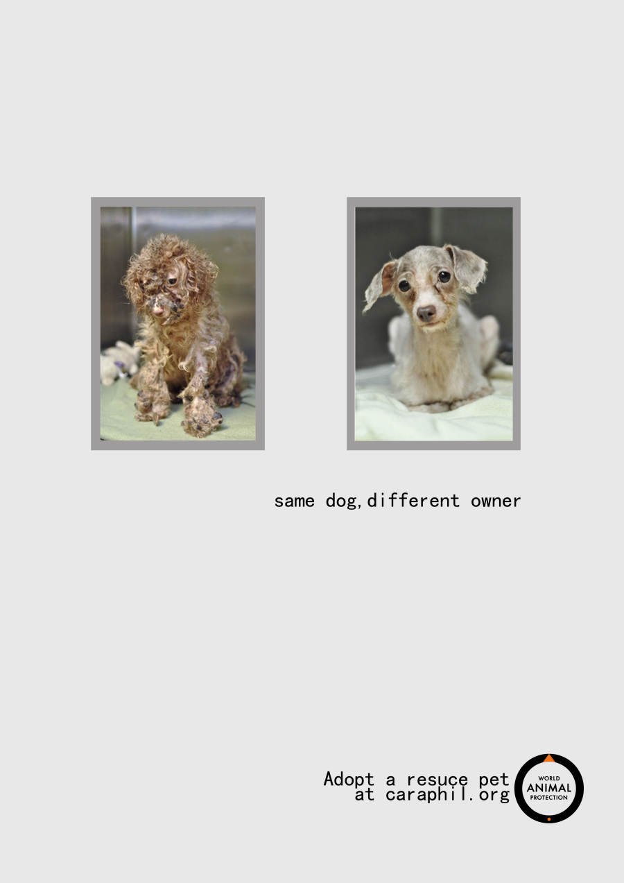 平面广告设计(公益,商业)广告设计,海报设计,海