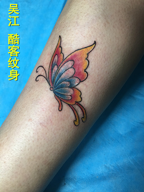 蝴蝶纹身图案适合女生的纹身图案吴江酷客纹身