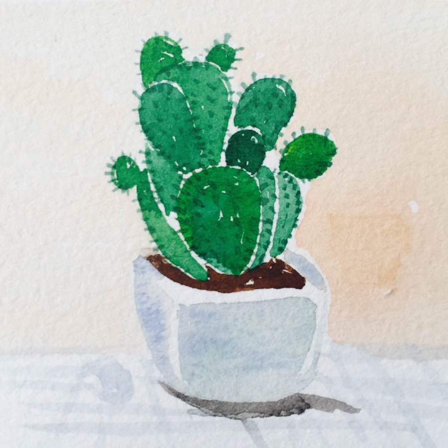 一组小仙人掌的绘画习作|绘画习作|插画|imagin