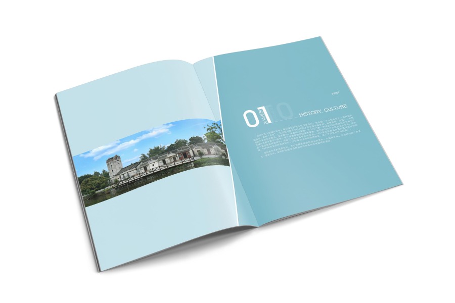 来了就是深圳人|书装\/画册|平面|DoublebinS - 原