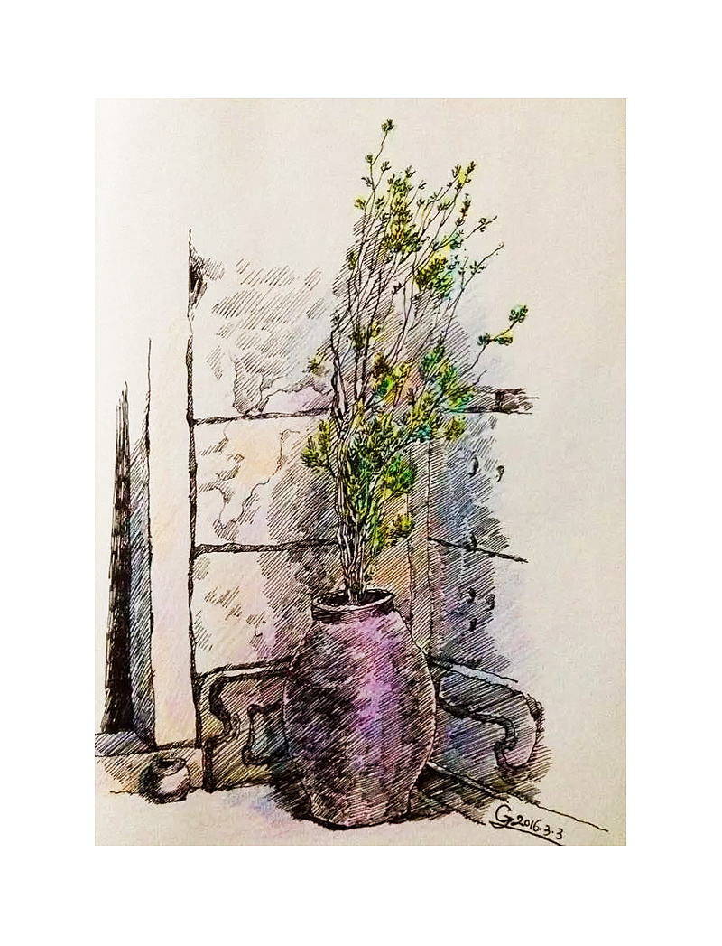 我的苔藓园系列钢笔画