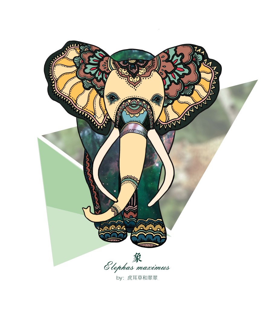 动物世界|绘画习作|插画|虎耳草和翠翠 - 原创设