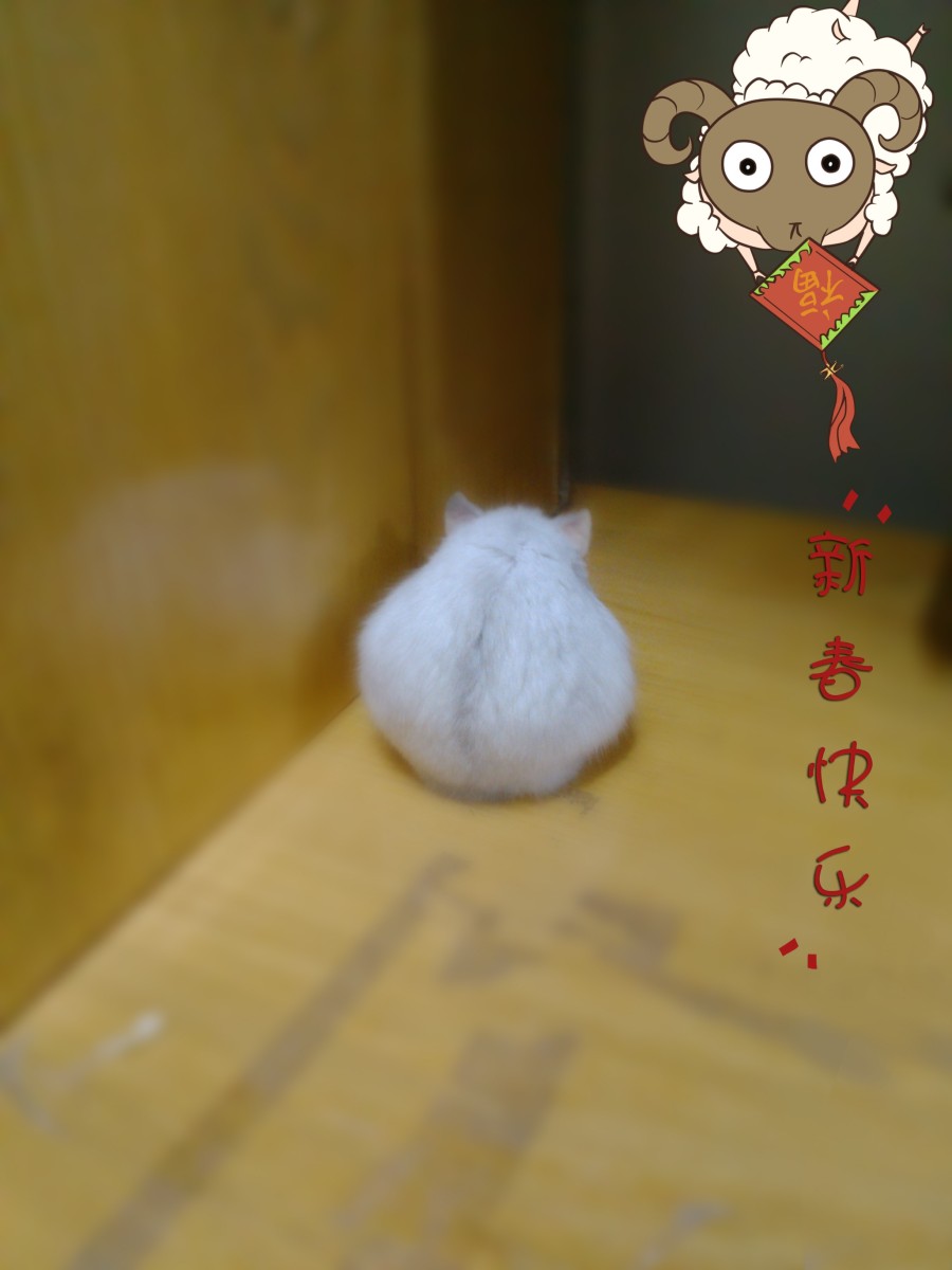 原创创意贴纸|图形\/图案|平面|T0ng彤 - 原创设计