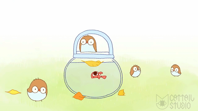 640_360gif 动态图 动图