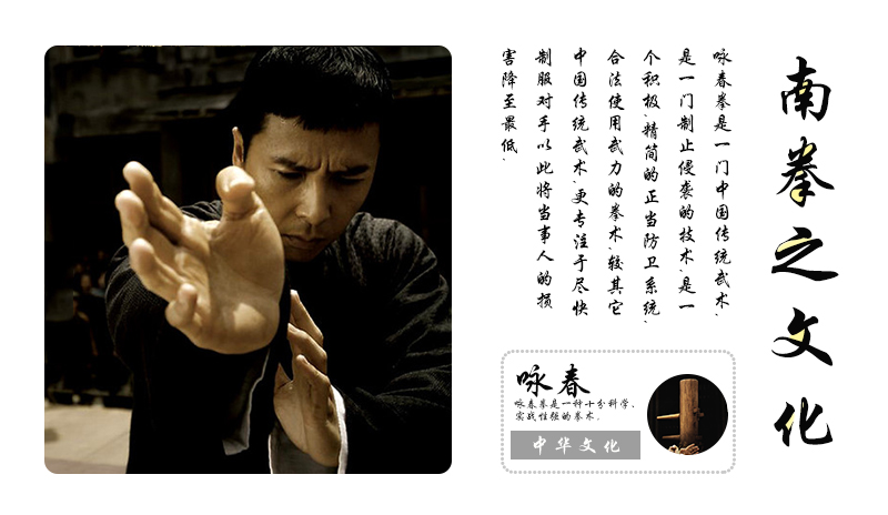 咏春拳|海报|平面|吴极 - 原创设计作品 - 站酷 (ZCOOL)
