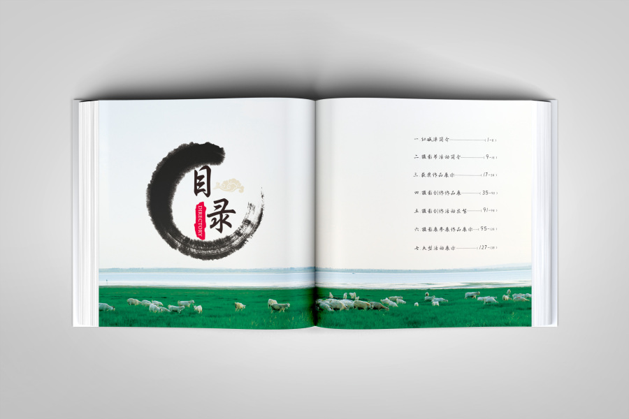 旅游局红碱淖宣传册2014年设计|其他|其他|匆匆