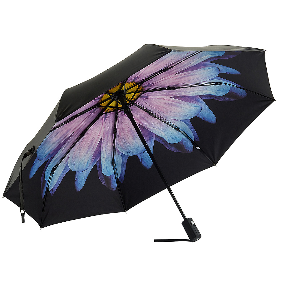 雨伞-荷兰菊 产品摄影 白底图 纯底 外贸 电商|产