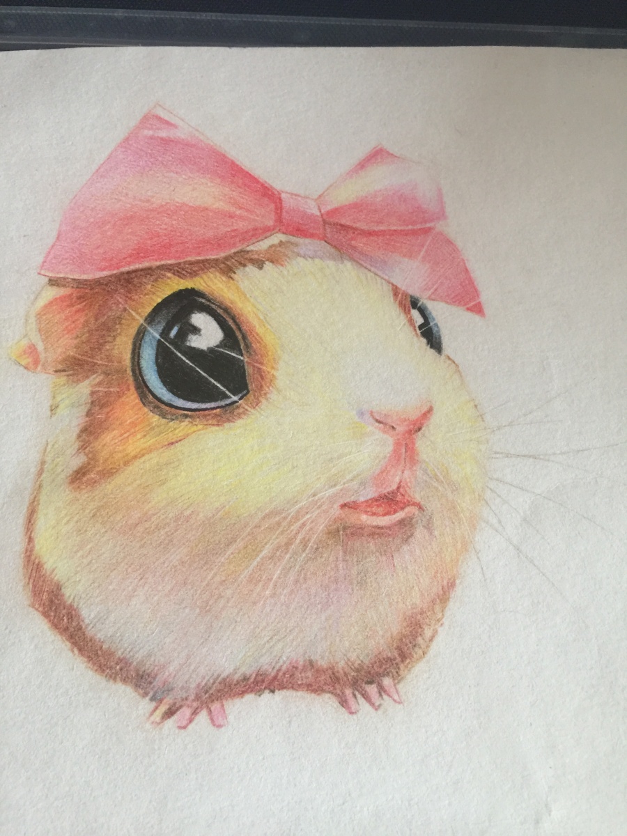 手绘小仓鼠|绘画习作|插画|小可爱球球 - 原创设