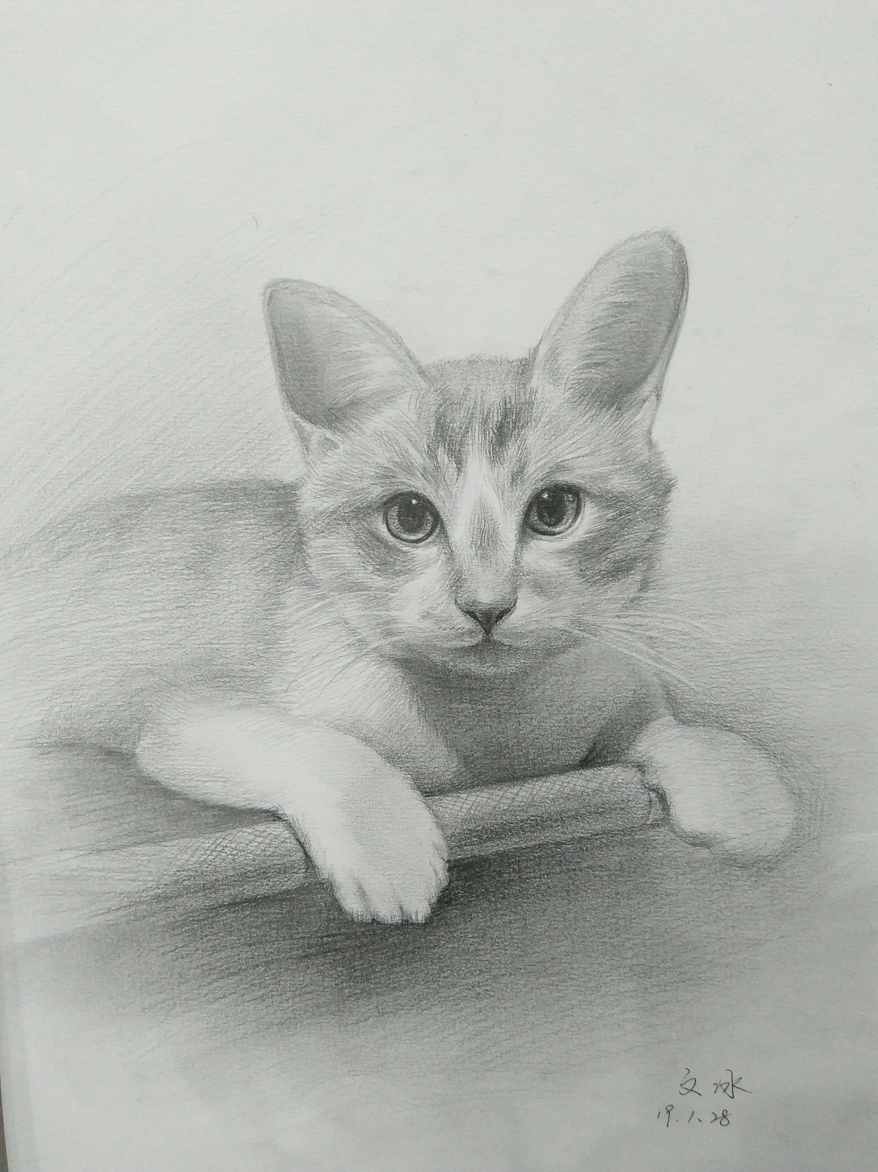 素描手绘我的小猫咪