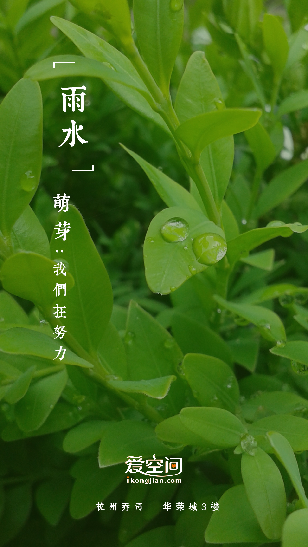 雨水1(爱空间2016)|平面|海报|沧凌川 - 原创作品