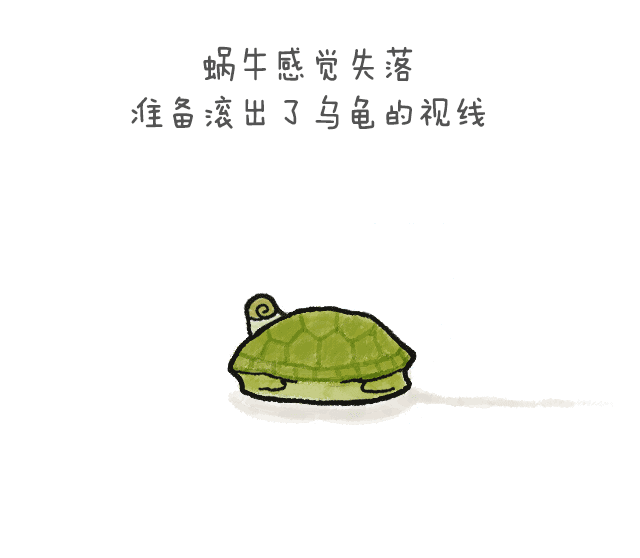 之前在《为什么优秀的你没有男朋友》的插画 里面有乌龟和蜗牛