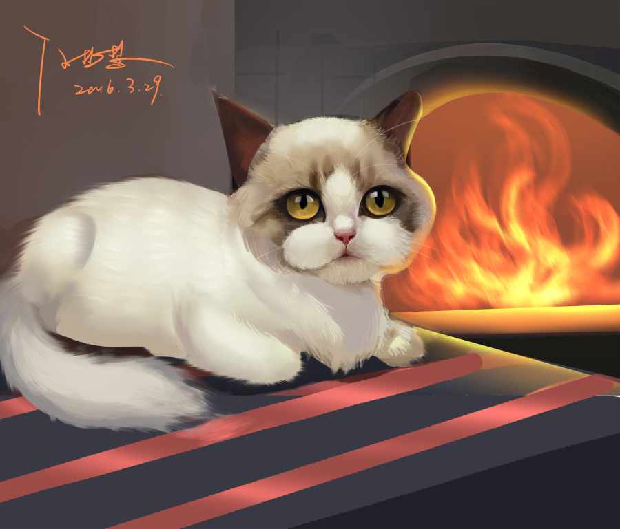 手绘猫|绘画习作|插画|Lem0n_ - 原创设计作品 