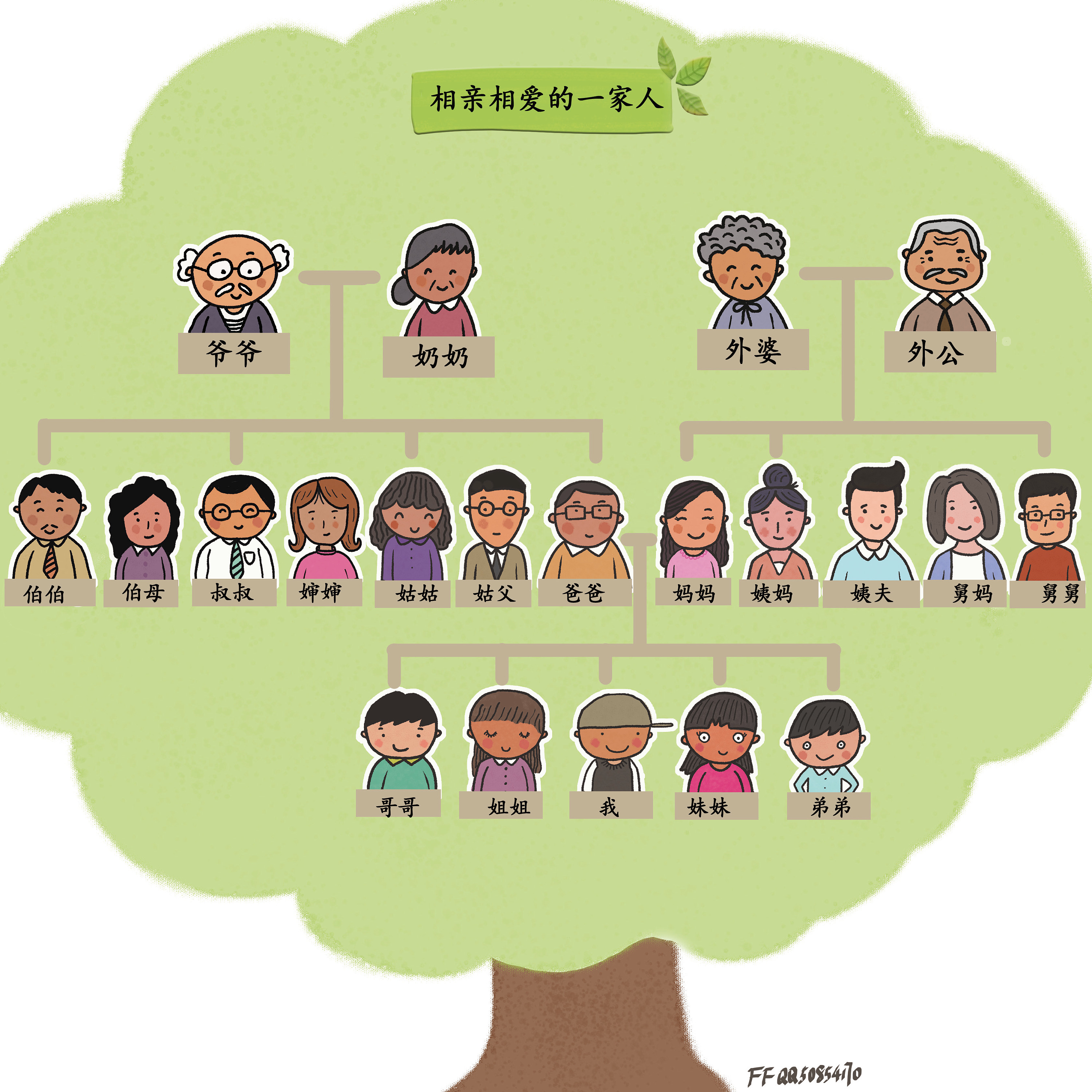 家庭树 family tree