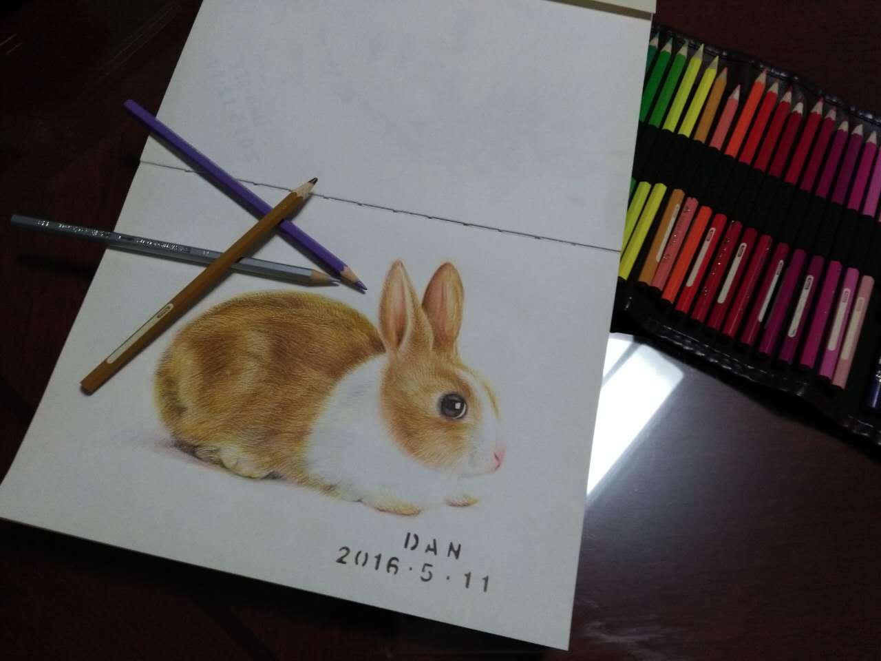 5-8岁儿童画大全 兔子怎么画💛巧艺网
