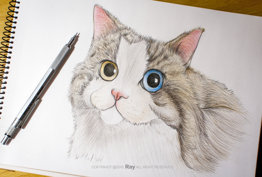 闲时杂画|绘画习作|插画|反恐蜘蛛 - 原创设计作