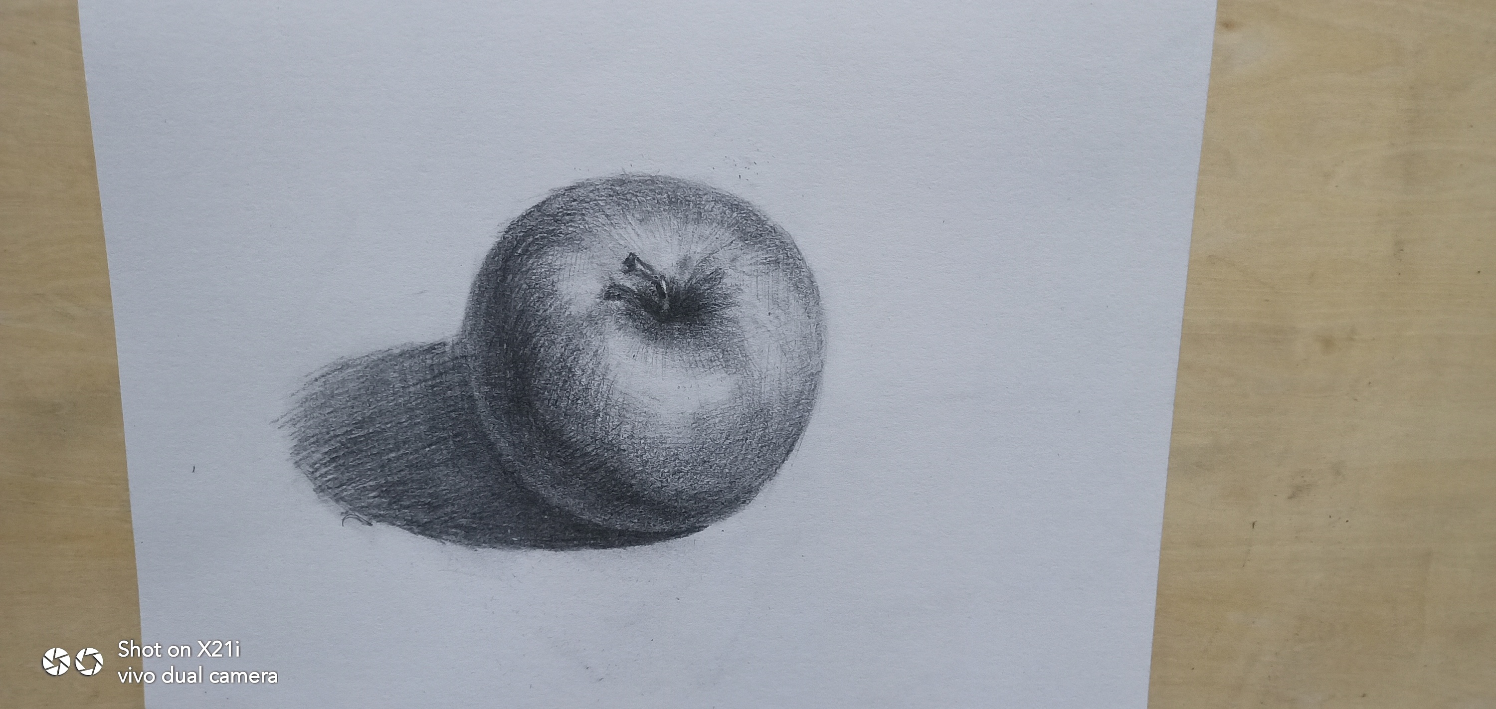 素描手绘苹果|其他|墙绘/立体画|设计师张树奇 - 原创
