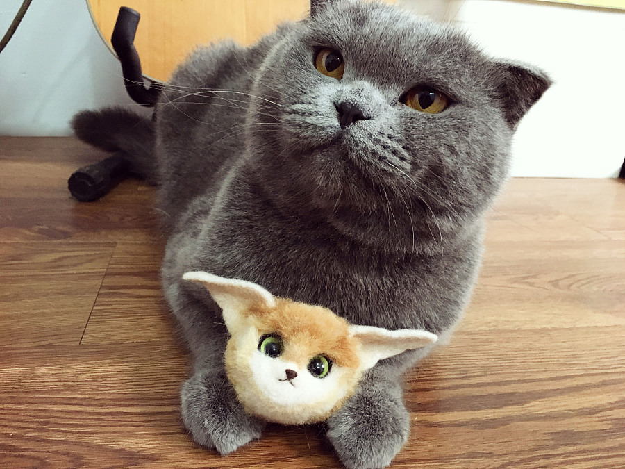 毛茸茸的猫小怪|其他手工|手工艺|lariliu - 原创设