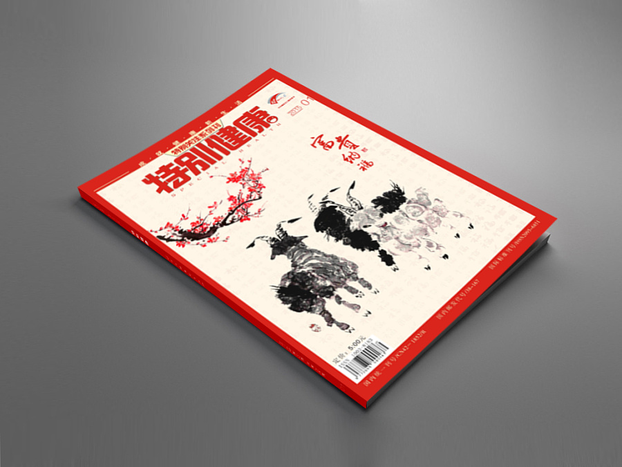 陈飞字体设计《特别健康》新年特刊杂志封面设