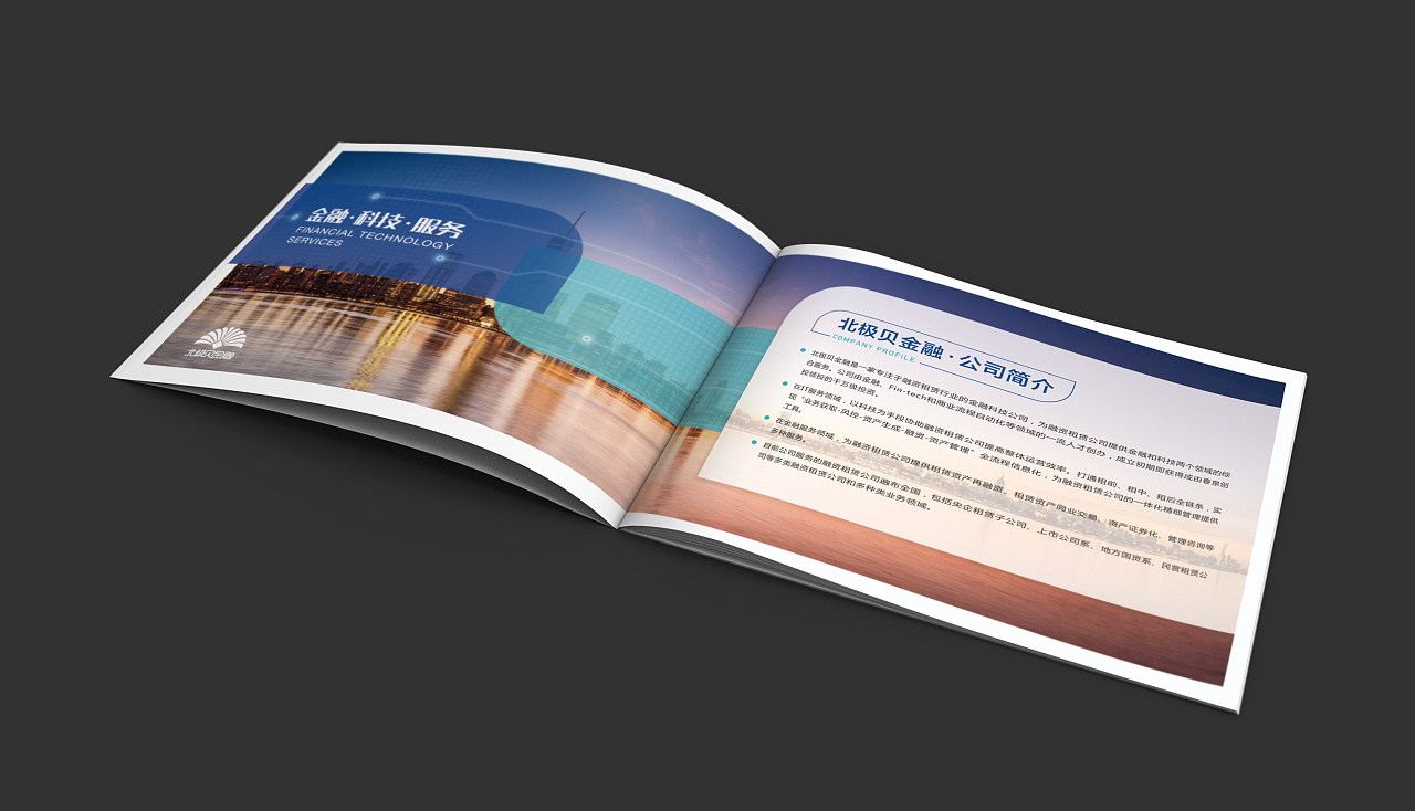 融资租赁综合管理系统-产品手册|平面|书装\/画册