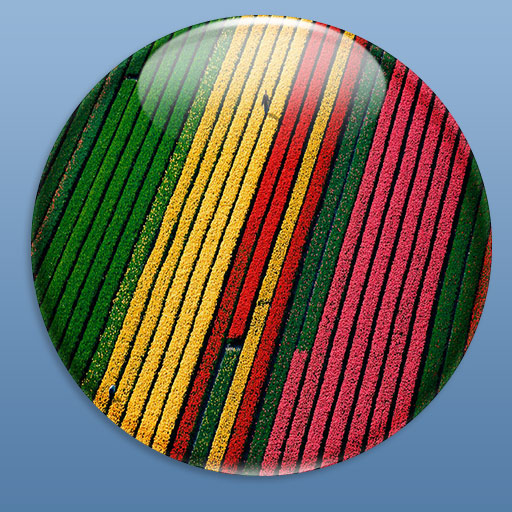 自学PS以来的练习~~部分临摹,部分跟着教程做