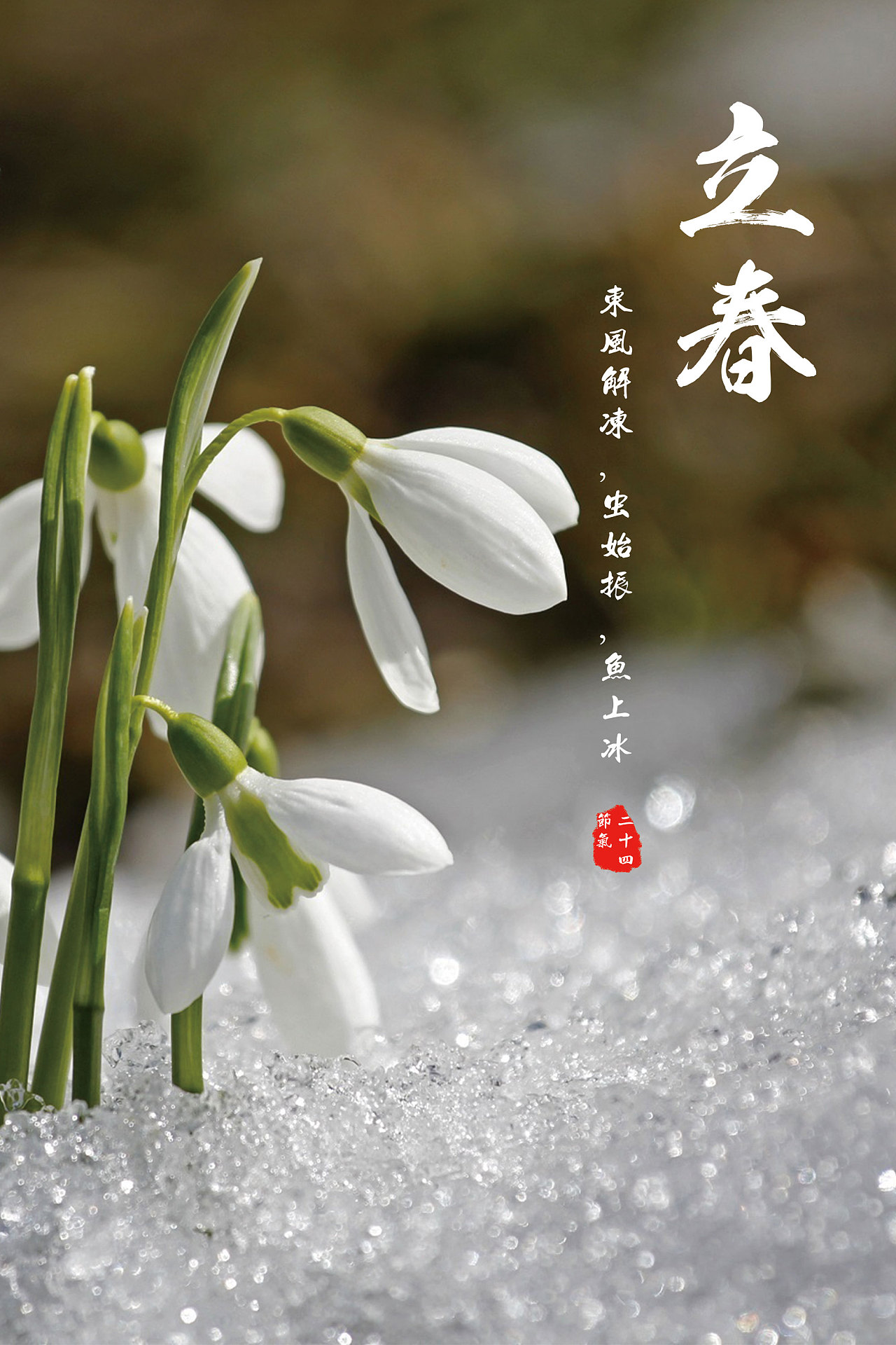 中国二十四节气 中国政府网