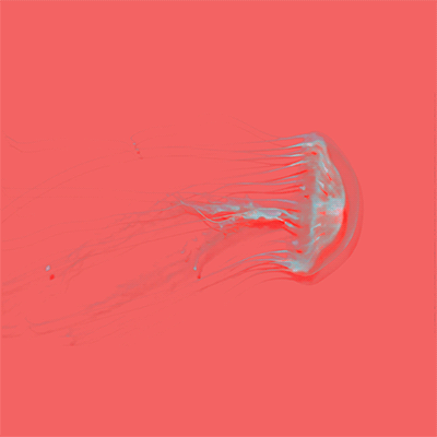 jelly jelly fish|短片|影视|乔阿呸 - 原创设计作品 - 站酷 (zcool)