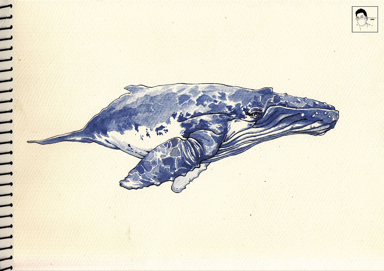 鲸鱼纹身图案手稿|纯艺术|其他艺创|初一刺青 - 原创作品 - 站酷 (ZCOOL)