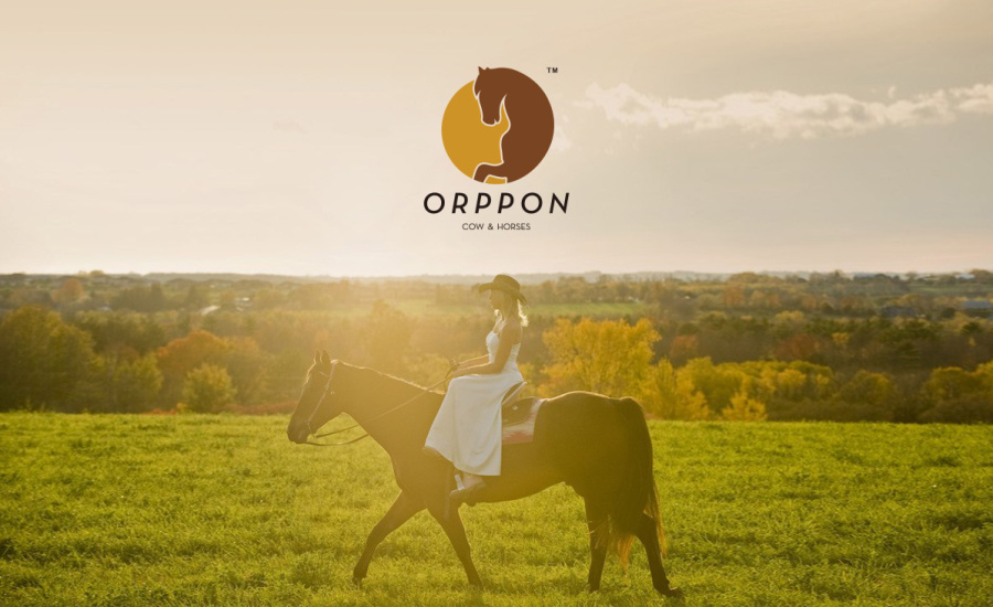 orppon品牌设计LOGO方案 牧业饲料LOGO|VI\/