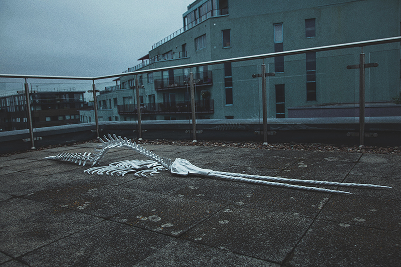 影像装置《自然法则\/The Order of Nature II 鲸落