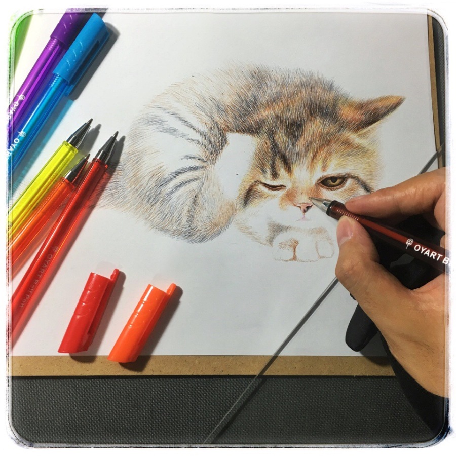 OY彩色圆珠笔画·猫|其他艺创|纯艺术|欧阳鹏杰