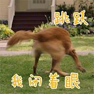 《一只狗的使命》表情包|动漫|网络表情|匈奴once