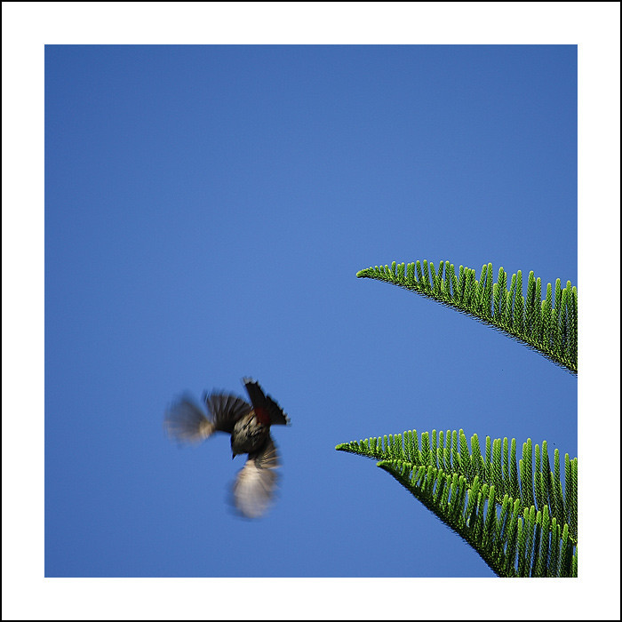 最近的生活片段