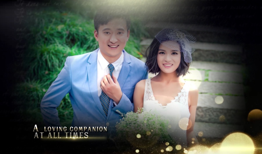 华丽唯美的金色粒子婚礼视频 |原创短片|影视|姚