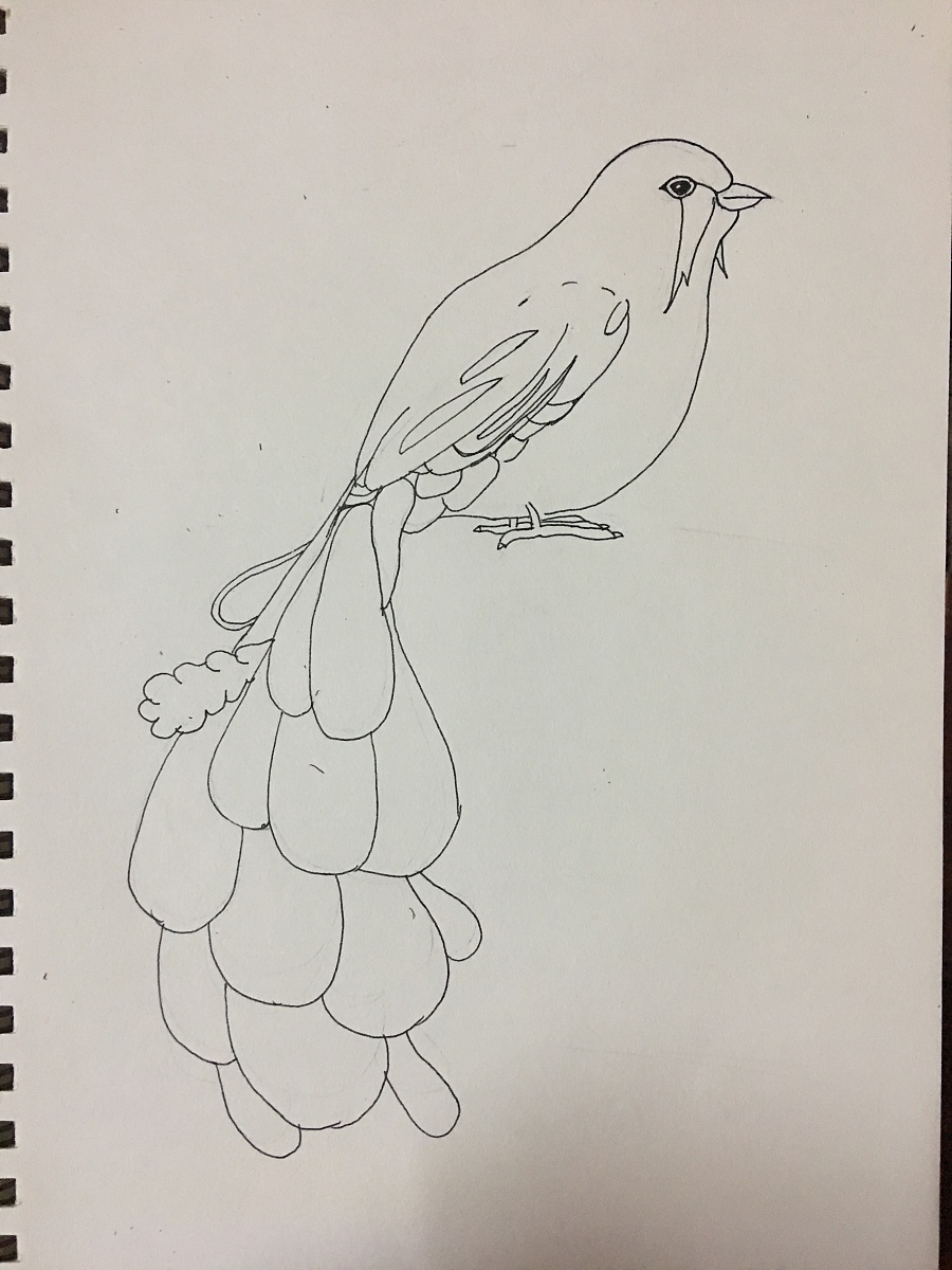 黑白线条插画 鸟羽|钢笔画|纯艺术|拥抱沙滩的鱼 - 原创设计作品 - 站酷 (ZCOOL)