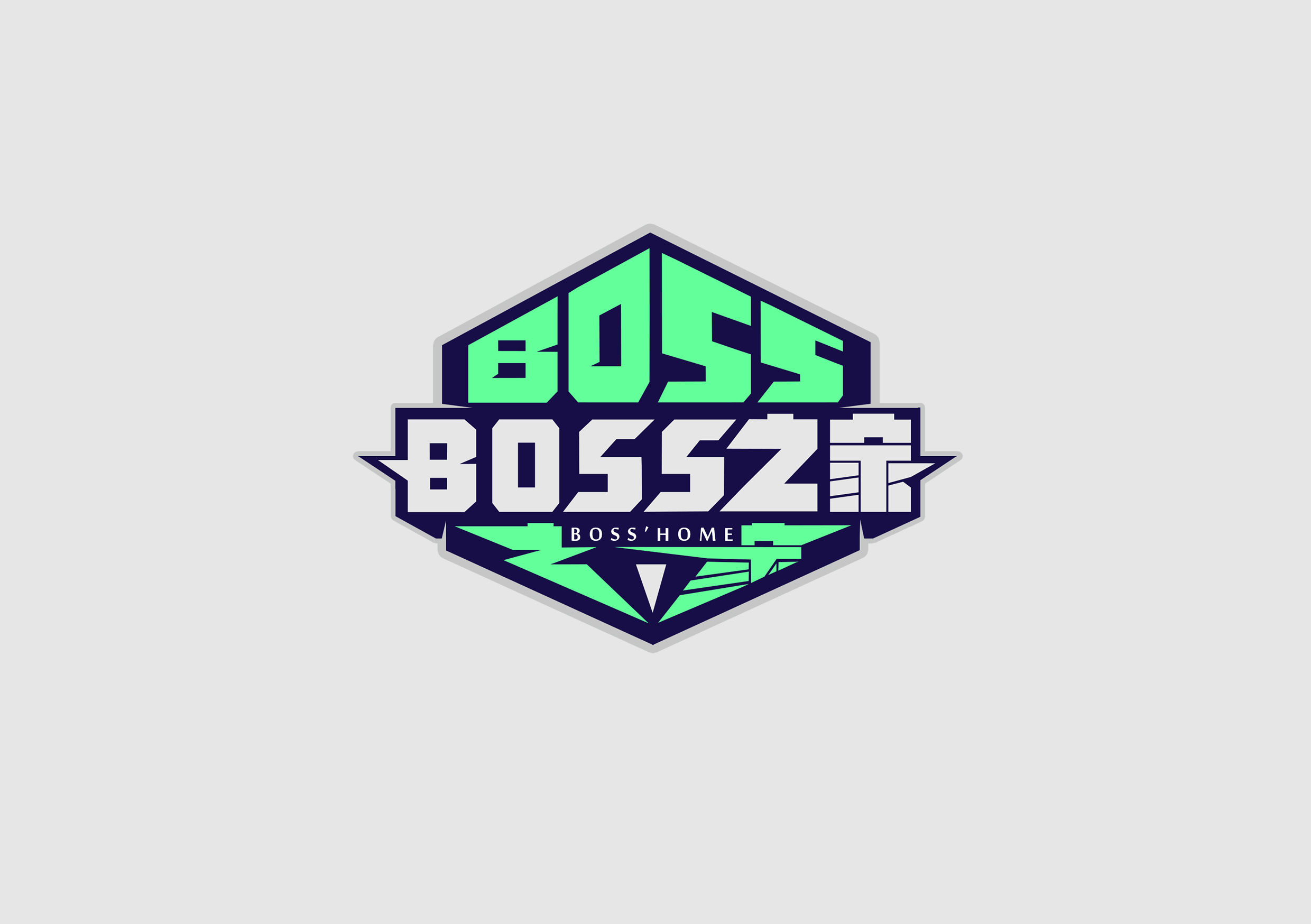 boss之家 logo设计