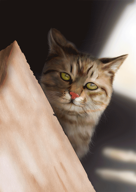 516_729 竖版 竖屏