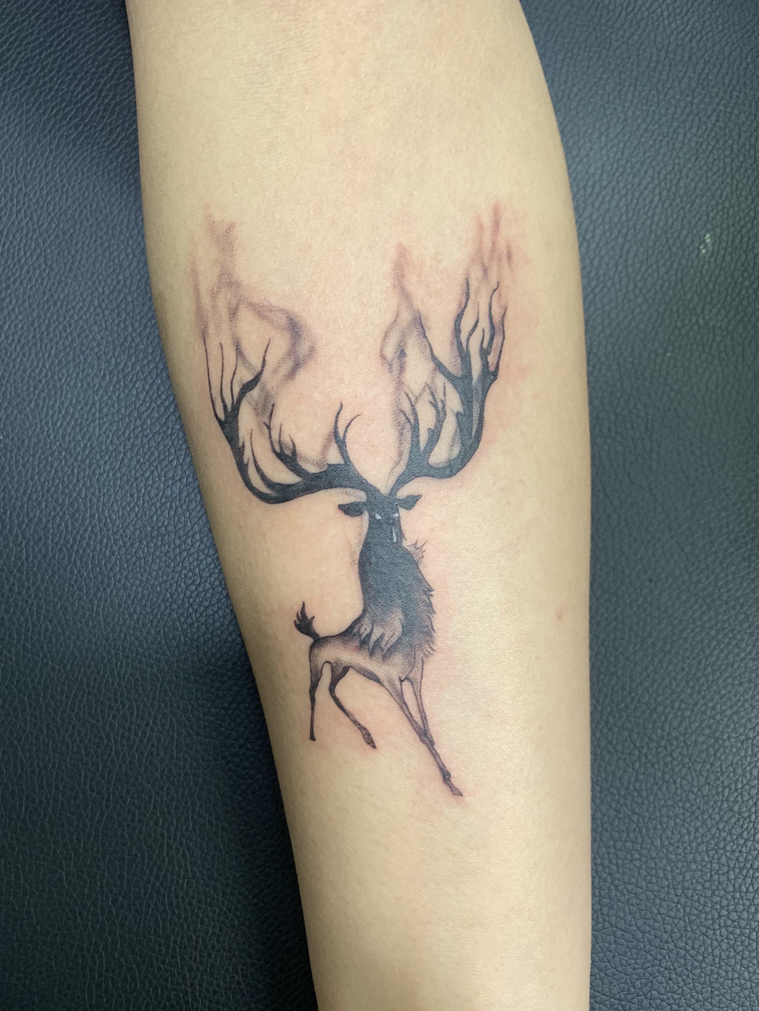 动物纹身图案#鹿头纹身#吴江松陵纹身#吴江酷客纹身