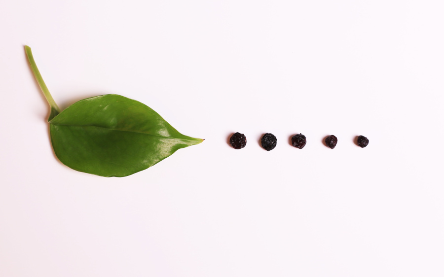 产品拍摄-蓝莓干\/版权所有盗图必究|静物|摄影|