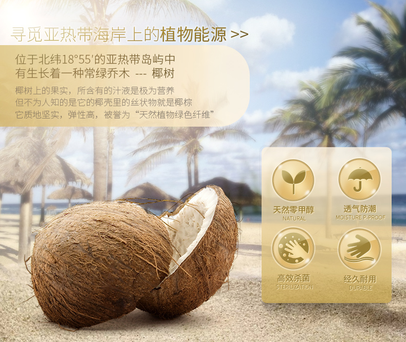 椰棕|海报|平面|杨耿聪 - 原创设计作品 - 站酷 (ZCOOL)