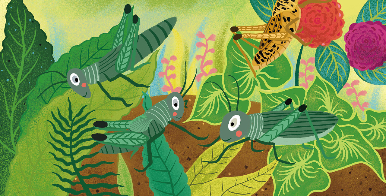 机关书部分作品:动植物,昆虫,交通工具,人物|插画||语