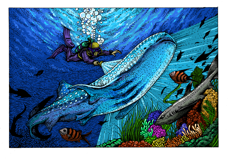 深海系列--遇见鲸鲨(手绘过程)|商业插画|插画|傅