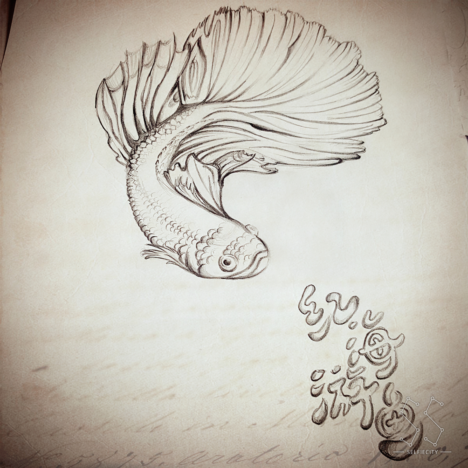 我想变成一条鱼|纯艺术|速写|红海游鱼 - 原创作品