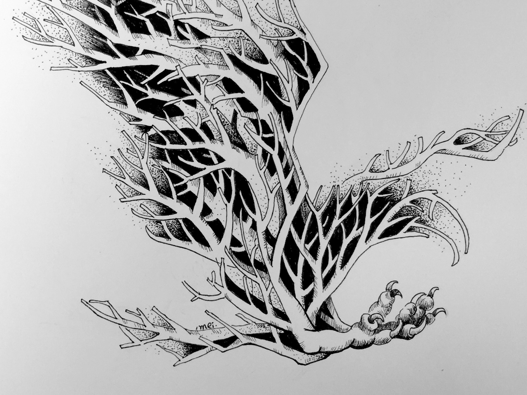 动植物-黑白插画