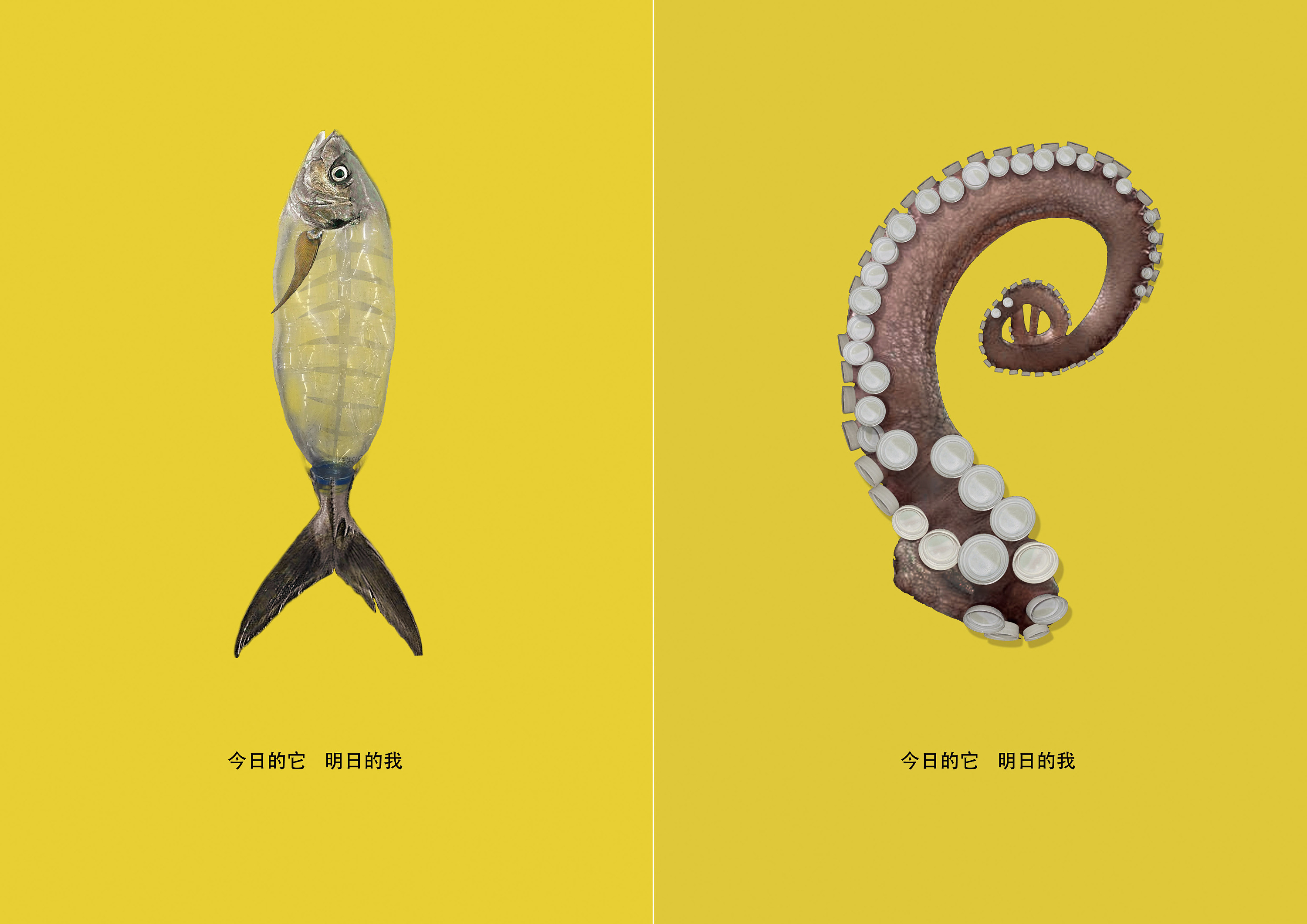 海洋文化(白色污染)|平面|海报|零上壹度 - 原创作品