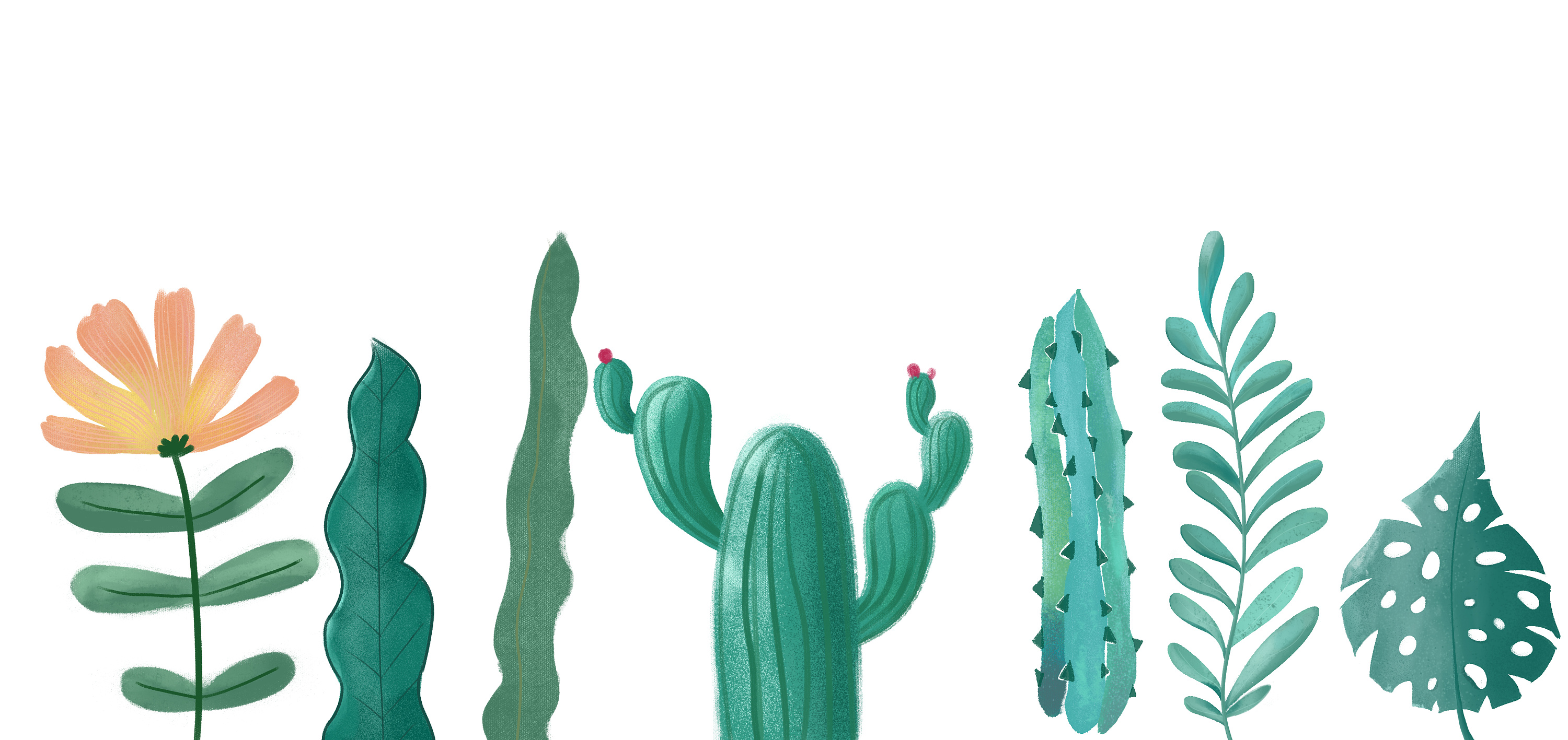 植物|插画|插画习作|方格子6 - 原创作品 - 站酷