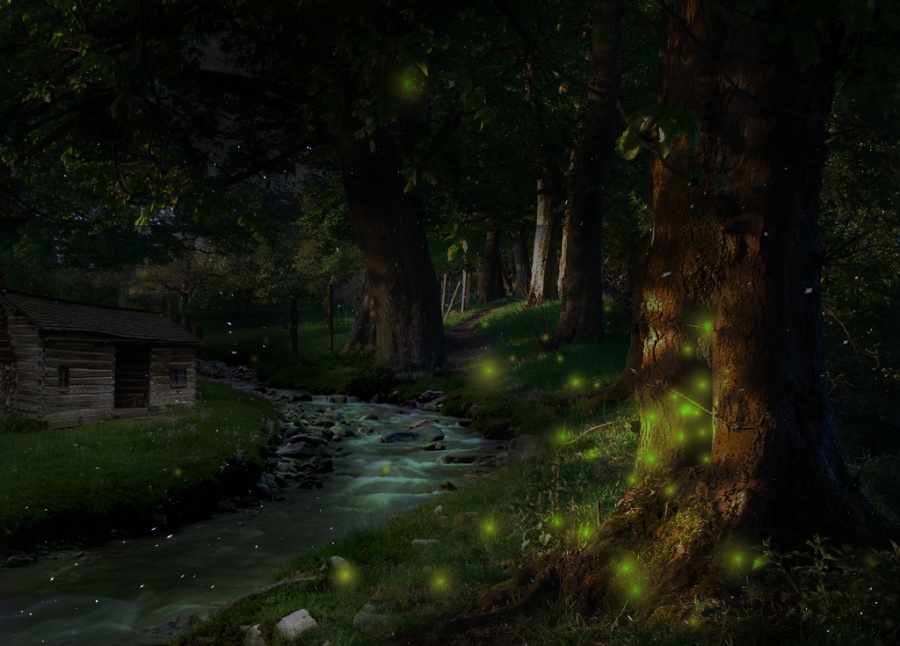 【森林里的兔子和小木屋】[修图\/后期]|修图\/后