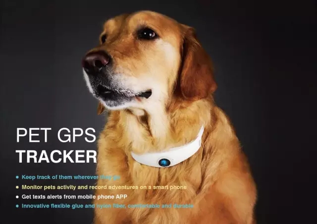 中国红星奖 数码宠物定位器 浪尖设计|电子产品|工业\/产品|浪尖设计 - 原创设计作品 - 站酷 (ZCOOL)