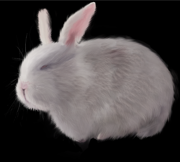 ps绘制超写实动物毛发 兔子