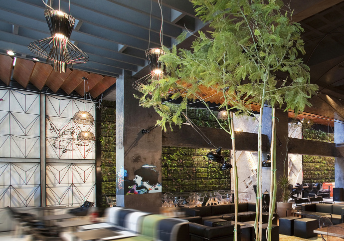 安顺咖啡厅设计丨老树咖啡厅|室内设计|空间\/建